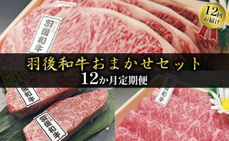 羽後和牛 部位おまかせ 牛肉 秋田県産 羽後和牛【定期便12ヶ月】