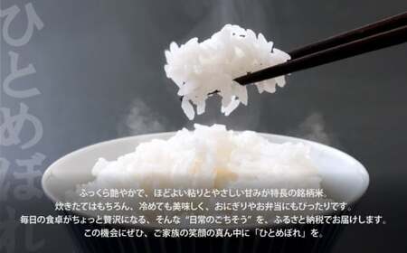 【無洗米】【10kg】 定期便 3回 米 宮城県産 ひとめぼれ  令和7年 新米 ブランド米 白米 精米 ご飯 ごはん コメ こめ お米 小分け 家庭用 結心ファーム [ 宮城県 加美町 ]