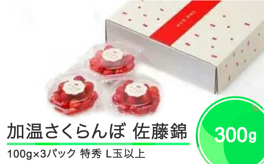 
            加温 さくらんぼ 佐藤錦 特秀品 L玉 ダイヤパック 100g×3パック 2026年産 令和8年産  フルーツ 果物 山形県 ja-snpcx300
          