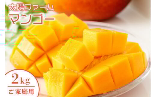 【 先行予約 2026年 発送 】 農家直送 ! 太陽ファームのマンゴー 2kg ( ご家庭用 ) マンゴー 沖縄県産 マンゴー アップルマンゴー アーウィンマンゴー 完熟マンゴー 果物 南国 くだもの フルーツ 完熟 夏 旬 沖縄 お取り寄せ 産地直送 糸満市