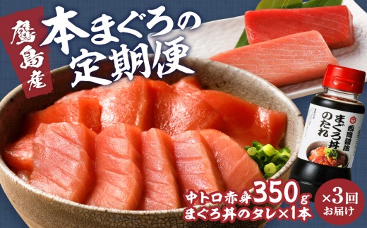 【全3回定期便】鷹島産本まぐろ 中トロと赤身合わせて350g【E2-005】