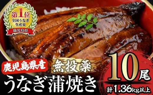 
2125 【土用の丑の日対応7/7入金まで】【無投薬にこだわったうなぎ】鹿児島県産うなぎ蒲焼10尾【国産】
