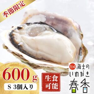 【お申し込みは5/17まで】【寄付額改定】いわがき春香 Sサイズ 3個｜海鮮 海産物 海の幸 シーフード 魚貝類 牡蠣 岩牡蠣 かき ブランド牡蠣 いわがき春香 生食 海士町