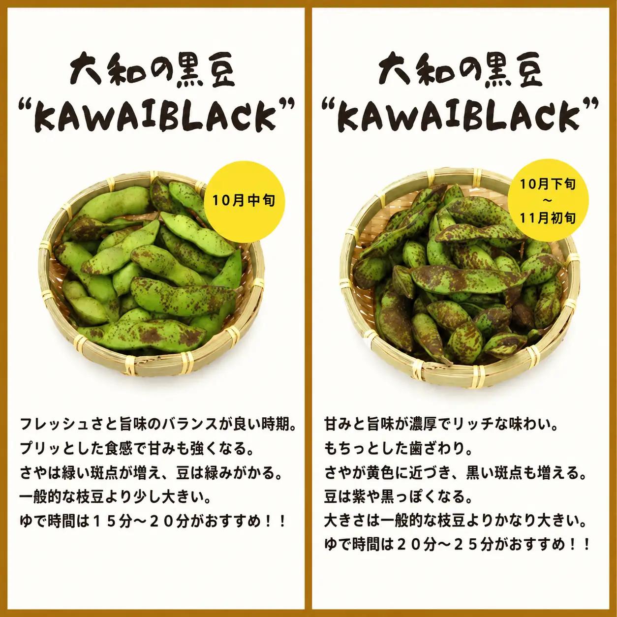 【先行予約】大和の黒豆 幻の枝豆 優品1.6kg(800g×2束) 枝豆 えだまめ