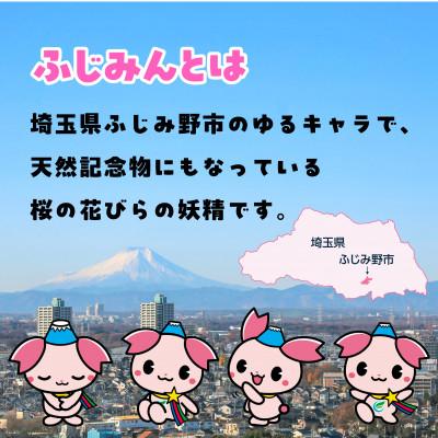 ふるさと納税 ふじみ野市 ふじみんオリジナルセットA(ぬいぐるみ小、タオル大、ストラップ) |  | 03