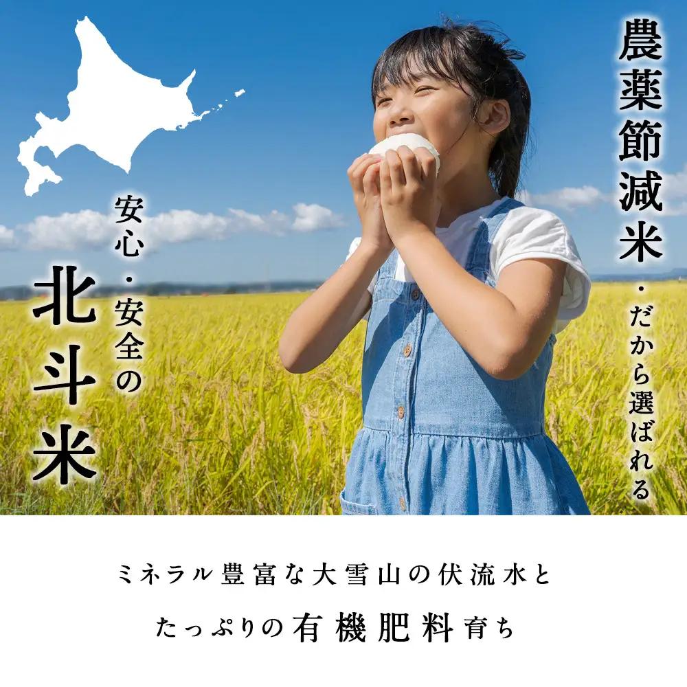 【定期便12カ月】北斗米ななつぼし10kg （5kg×2袋）