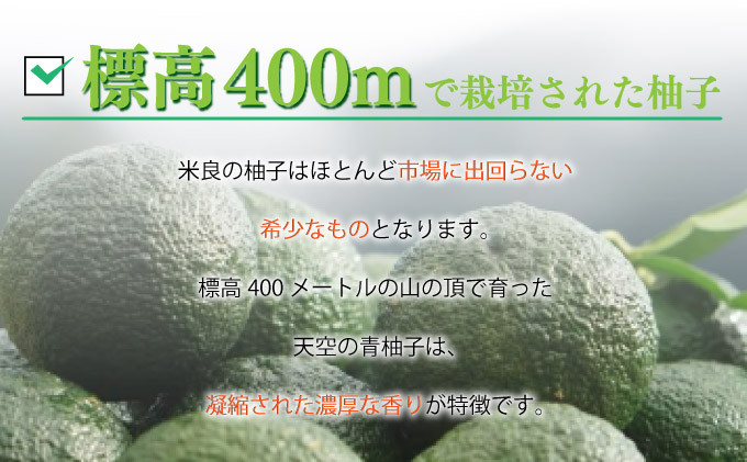 標高400ｍの柚子園は昼夜間・四季をとおしての温度差が大きく、その分香りや栄養を果実内部に蓄えます。