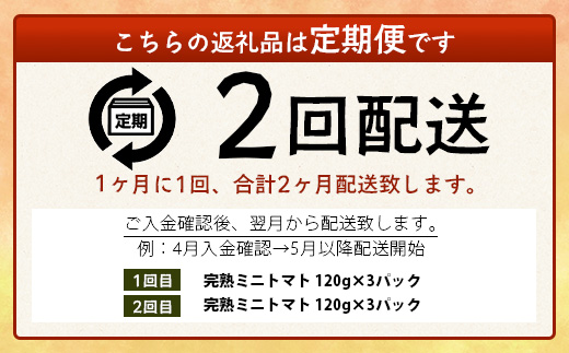 【2回定期便】【先行予約】完熟ミニトマト 【少量パック】120gx3p　たにぐちファーム 完熟ミニトマト 360g とりこになるトマト 野菜 とまと トマト リコピン 佐賀産 佐賀県 鹿島市　C-14