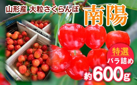 山形産 大粒さくらんぼ 南陽 特選 バラ詰め 約600g 【令和7年産先行予約】FS24-636くだもの 果物 フルーツ 山形 山形県 山形市 2025年産