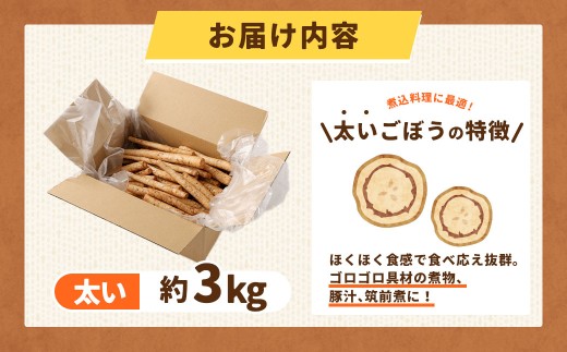 鹿児島県産 洗い【太い】 ごぼう 約3kg 【規格外・訳あり品】【2026年12月上旬-3月下旬発送予定】 ZS-9100