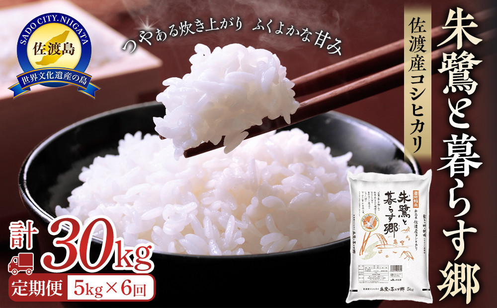 米 定期便 朱鷺と暮らす郷 佐渡産 コシヒカリ ( 5kg × 全6回 ) 【令和6年産】