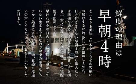 【定期便2回】冷蔵でお届け！満足！生本マグロ 大トロ（柵どり） 400g × 2回お届け （毎月お届け）