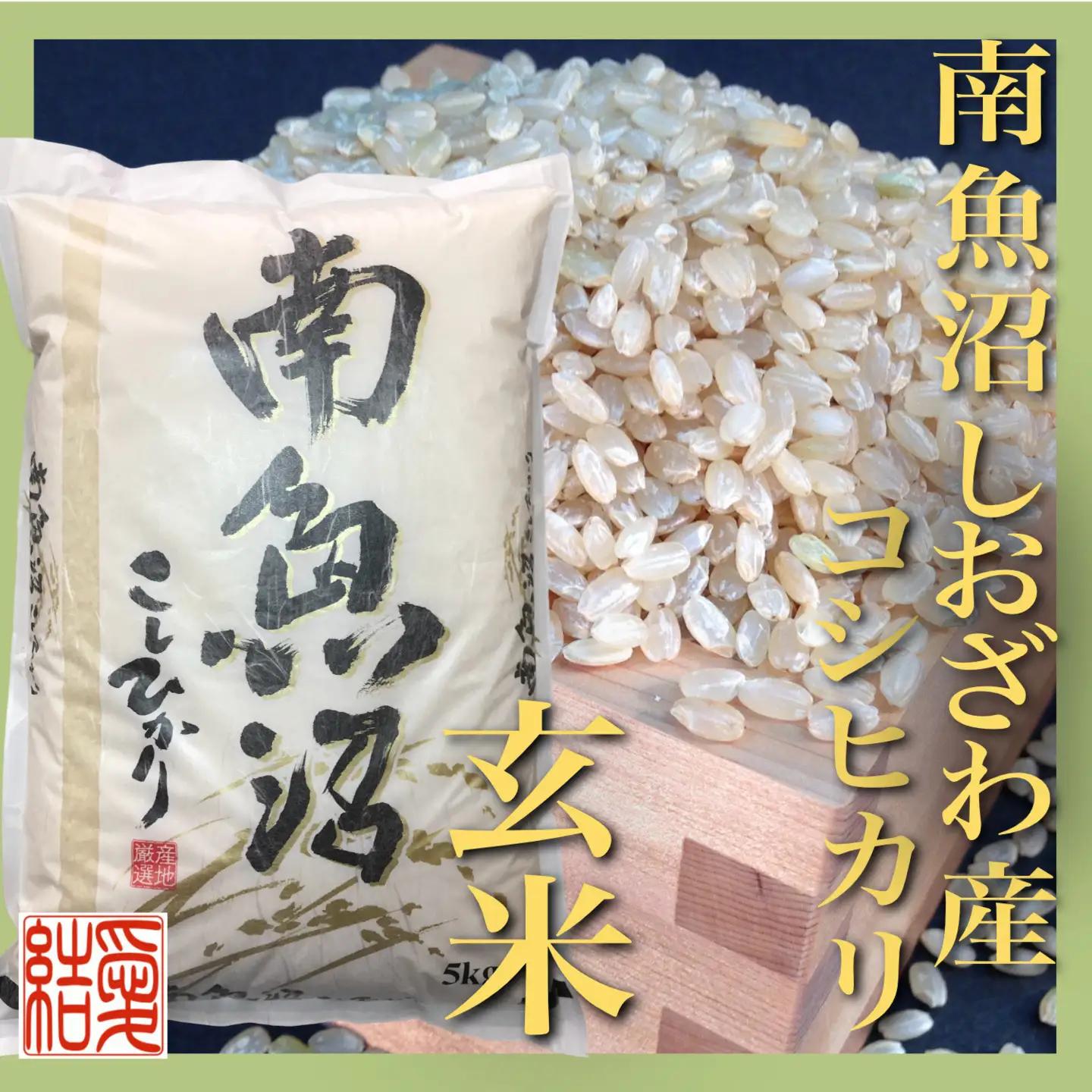 【令和7年】【定期便】玄米 南魚沼しおざわ産コシヒカリ2Kg×6ヶ月｜玄米