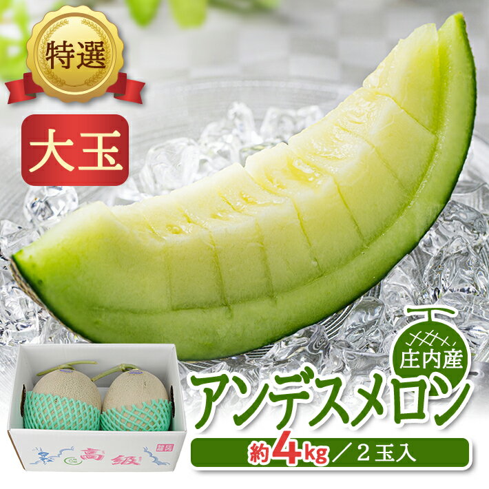 【ふるさと納税】特選 アンデスメロン 約4kg（大玉 2玉入） 青肉 つる付 山形県庄内産 6月下旬〜7月下旬頃お届け ※着日指定不可 青肉メロン ツル付き セット 東北 山形県 酒田市 庄内 夏