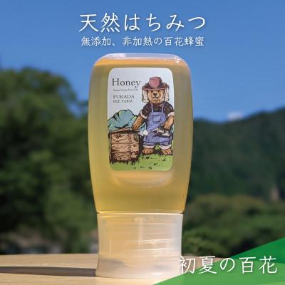 ふるさと納税 美濃市 300g 深田養蜂の天然蜂蜜 国産蜂蜜 非加熱 生はちみつ 岐阜県 美濃市産 初夏 B9 | 