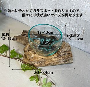 【選べるサイズ】天然流木のガラスポット