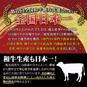 B0-10 (D-101)【5等級】鹿児島黒牛(カタローススライス・ウデスライス)すきやきセット(計600g)！日本一に輝いた牛肉をご家庭で！【JA北さつま】