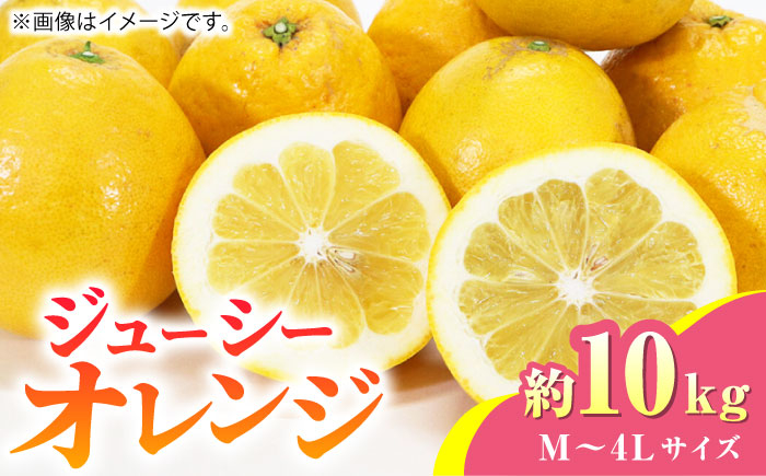 
【先行予約】【数量限定】ジューシー オレンジ 約10kg M~4Lサイズ【くまふる】果物 フルーツ 柑橘類 熊本県 特産品 オレンジ ジューシー みかん 柑橘 [ZBG012]
