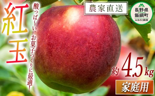 りんご 紅玉 家庭用 4.5kg 中村ファーム 沖縄県への配送不可 2025年9月中旬頃から2025年11月上旬頃まで順次発送予定 令和7年度収穫分 長野県 飯綱町 [0558]