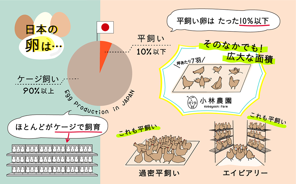 こだわりの無投薬･平飼い有精卵 50個《厚真町》【テンアール株式会社】 たまご 卵 鶏卵 玉子 生卵 平飼い 北海道 定期便  [AXAN010]