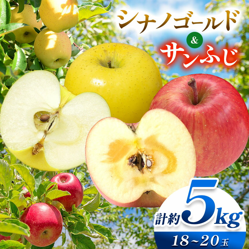 【ふるさと納税】【先行受付】【11月中旬～発送予定】サンふじ・シナノゴールド 詰合せ 約5kg （ 18 ～ 20 玉 ）｜ 果物 くだもの フルーツ 林檎 りんご リンゴ 長野県 塩尻市