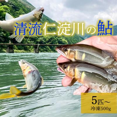 ふるさと納税 いの町 鮮度にこだわり!仁淀鮎★5尾〜(冷凍500g) ★