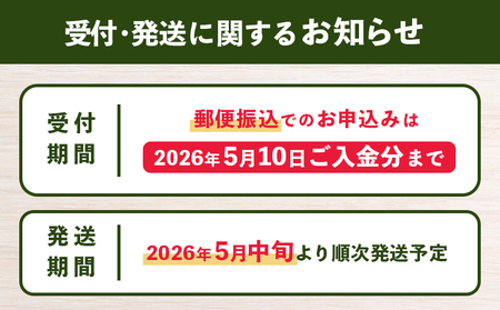 【2026年産先行受付】朝採り発送 かみなしさんのグリーンアスパラ 1kg（Lサイズ以上）【32002】