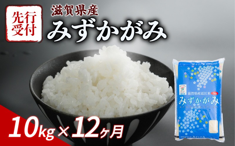 
            【令和7年産先行受付】 みずかがみ 10kg 12ヶ月定期便 令和7年産 新米 米 こめ ご飯 米 先行受付 定期便 12回定期便 12か月定期便 12回 12か月 先行受付 10キロ 令和7年 滋賀 彦根
          