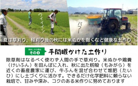 【令和6年産新米】〈3回定期便〉「わくわく農場」の五泉産 精米 コシヒカリ 15kg(5kg×3袋)［2024年10月中旬以降順次発送］ わくわく農場