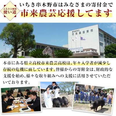 ふるさと納税 いちき串木野市 金の桜黒豚 3種 おかず 詰め合わせ 12食分! |  | 03