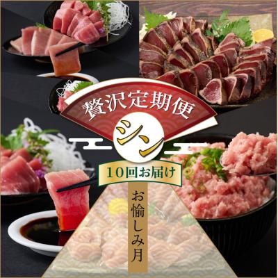 ふるさと納税 室戸市 【贅沢定期便「シン」/全10回】タカシン水産厳選 高知の海鮮セット
