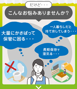 人気急上昇 数量限定 大人気！ 高品質 トイレット ペーパー シングル 【 定期便12回 】 12ロール入り 4パック  ｜ トイレットペーパー  天然  やさしい 肌触り 日用品 ふるさと 納税 常