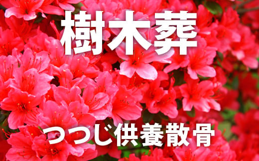 自然供養のカンシャ 樹木葬　つつじ供養散骨