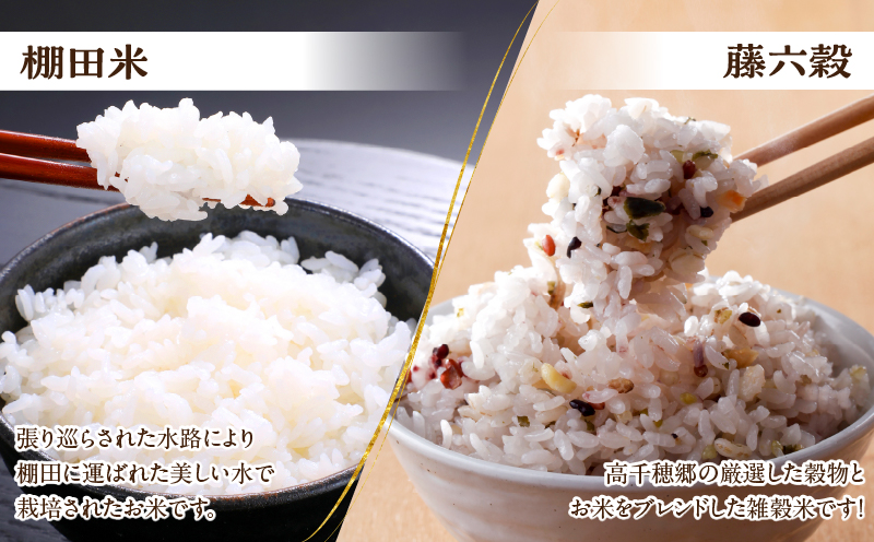 高千穂郷産緑茶のデザートが楽しめるセット_Tk028-012