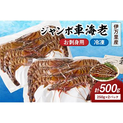 ふるさと納税 伊万里市 伊万里産　お刺身用冷凍ジャンボ車海老