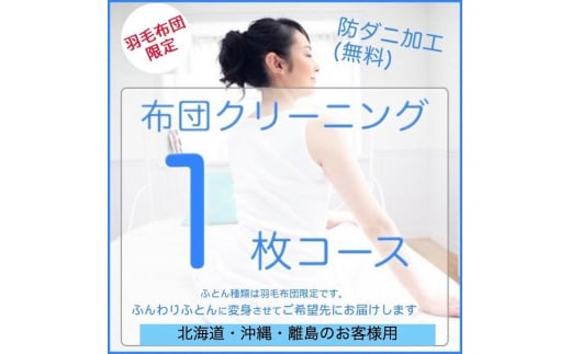 [№5895-0593]ふとんクリーニング 1枚 （羽毛限定） 北海道・沖縄・離島可