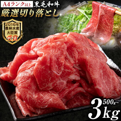 【ふるさと納税】厳選 くまもと黒毛和牛 切り落とし 選べる内容量 500g 1kg 2kg 3kg ( 1パック 500g ) 《45日以内に出荷予定(土日祝除く)》熊本県 大津町 和牛焼肉LIEBE くまもと黒毛和牛 切り落とし 冷凍 リーベ