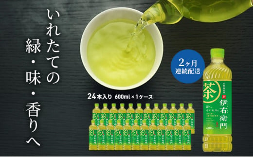 お茶 定期便 2ヶ月 サントリー 緑茶 伊右衛門 600ml×24本 ペットボトル