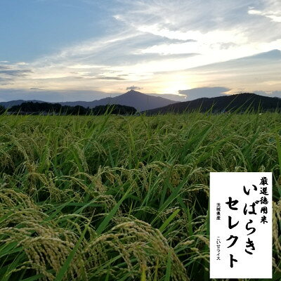 【ふるさと納税】茨城県産こしひかりミックス 白米5kg 令和7年産【配送不可地域：離島・沖縄県】【1700053】