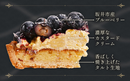 先行予約 ブルーベリーのフレッシュタルトケーキ 5号：直径15cm (4〜5人前) 850g 2027年7月発送 スイーツ ケーキ [A-5219_07]