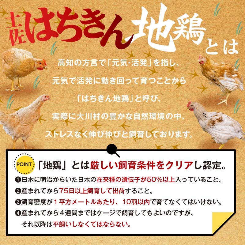 土佐はちきん地鶏 手羽先 1kg（500g×2） 地鶏 鶏肉 とり肉 とりにく 肉 高知県 大川村  おつまみ 鶏 手羽 チキン 食品 F6R-008 1kg