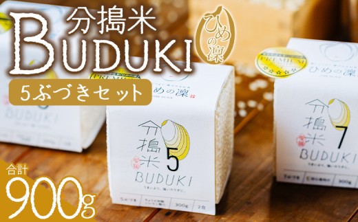 ＜分搗米「BUDUKI」ひめの凜 「5ぶづき」2合入り×3個（900g）＞ ひめのりん 分づき米 ぶづき米 ぶずき米 お米 コメ こめ 選べる 5分づき 玄米 精米 ご飯 もとき農園 愛媛県 西予市【常温】『令和7年11月中旬より順次発送予定』