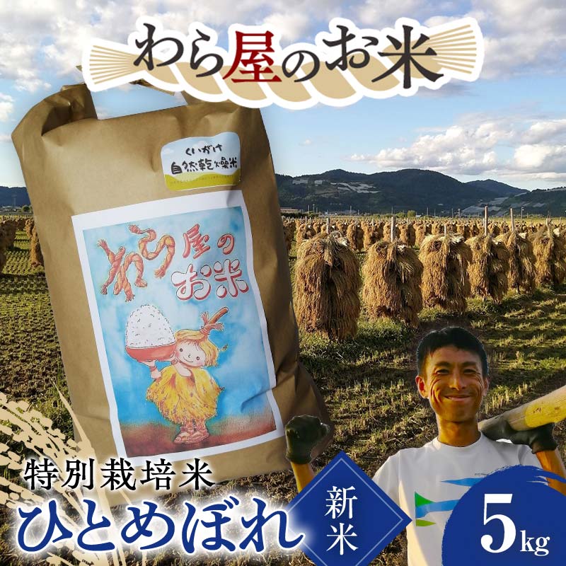 【ふるさと納税】 【令和7年産 新米 先行予約】 【わら屋のお米】 特別栽培米 ひとめぼれ 5kg 《令和7年10月下旬～発送》 『おがわ藁農園』 米 白米 精米 ご飯 農家直送 山形県 南陽市 [2070-R7]