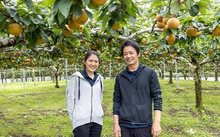 渡辺果樹園の幸水梨　約3kg＜8月中旬～9月上旬にお届け＞  F7X-0162