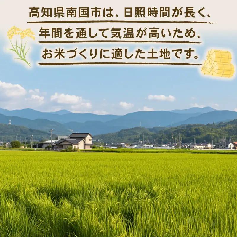 【先行予約】白米 5㎏ コシヒカリ 令和8年度 南国市産 3回定期便