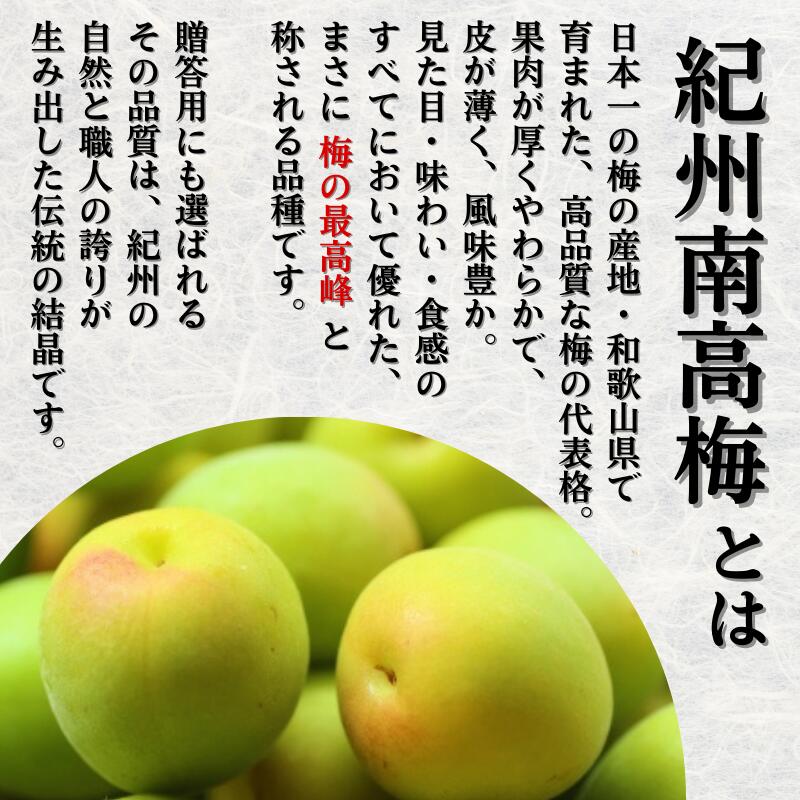 青梅 厳選 南高梅 2kg+60g（痛み補償分） / 梅 梅ジュース 梅酒 梅干し 高級 和歌山 ※6月発送 ※北海道・沖縄・離島への配送不可 【ikd508-p-2B】