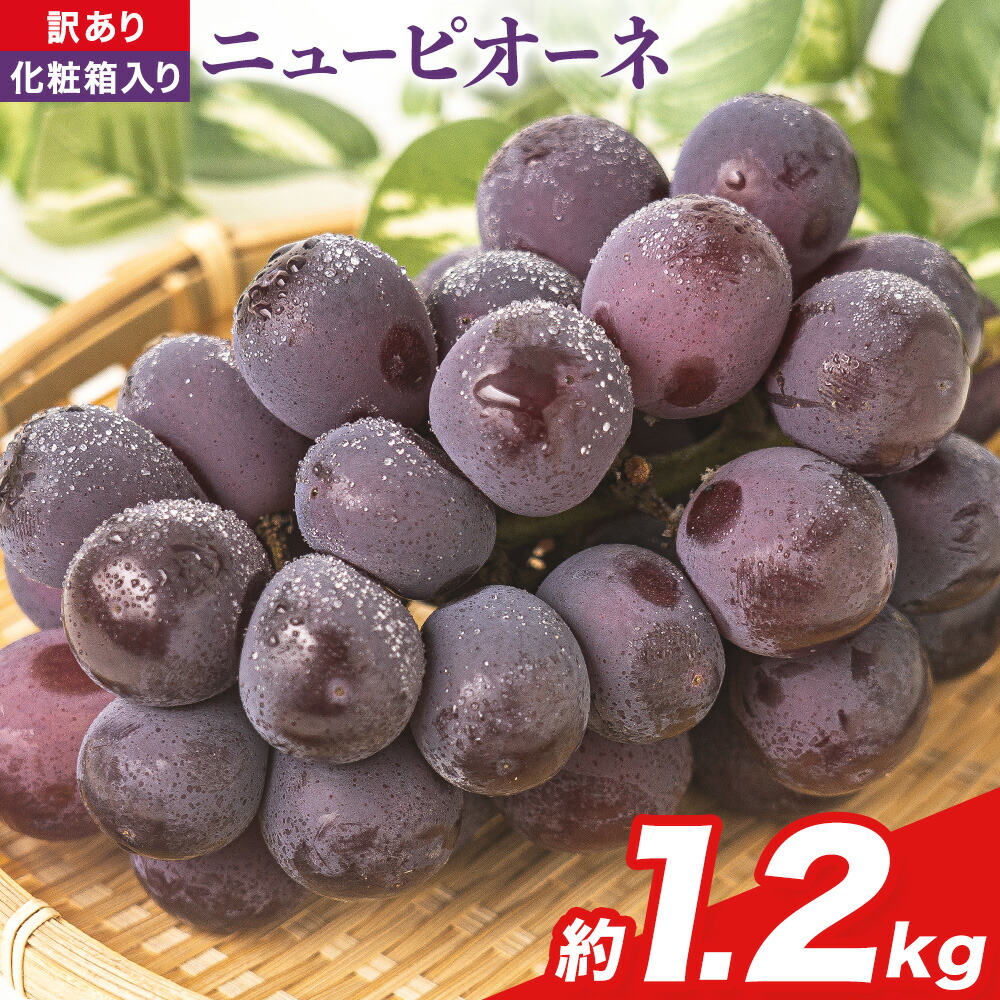 【先行予約】岡山県産 ニューピオーネ 約1.2kg(2房)《9月中旬-11月上旬頃出荷(土日祝除く)》岡山県 笠岡市 葡萄 果物 秋旬 訳あり 優品 厳選出荷 スイーツ フルーツ デザート 数量限定 2025---kasaoka_zsy_42_12---