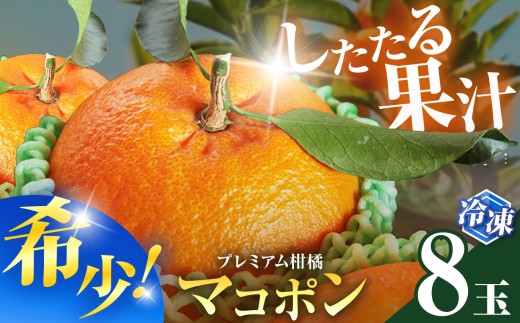 冷凍 マコポン 8玉 | フルーツ 果物 くだもの 果実 柑橘 柑橘類 まこぽん マコポン オレンジ ゼリーオレンジ 国産 中津市産 産地直送 大分県 中津市