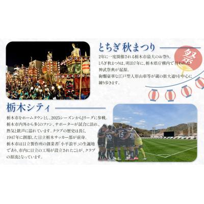 ふるさと納税 栃木市 はるオンパックスミニ (10枚入×12パック)120枚セット |  | 02