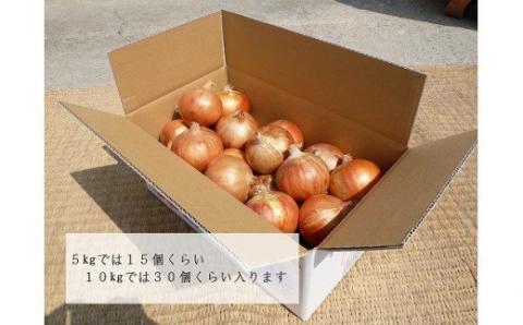【淡路夢ファーム】玉ねぎ（淡路玉三郎）５ｋｇ